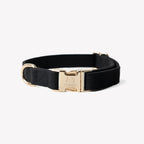 'Black' - Canvas Dog Collar - Snag N' Style
