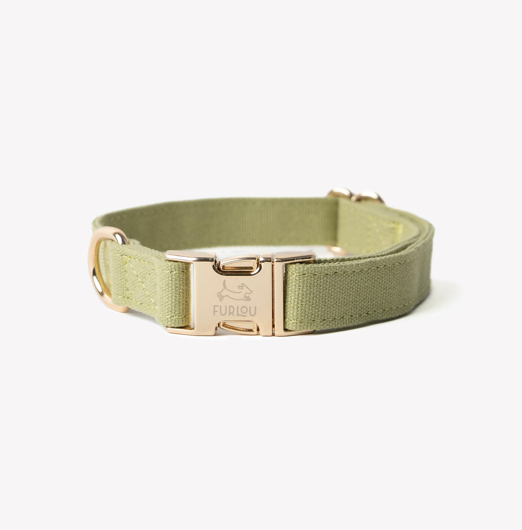 'Green' - Canvas Dog Collar - Snag N' Style