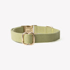 'Green' - Canvas Dog Collar - Snag N' Style
