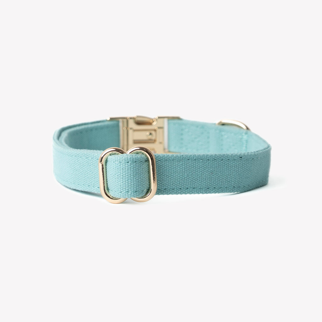 'Blue' - Canvas Dog Collar - Snag N' Style