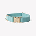 'Blue' - Canvas Dog Collar - Snag N' Style