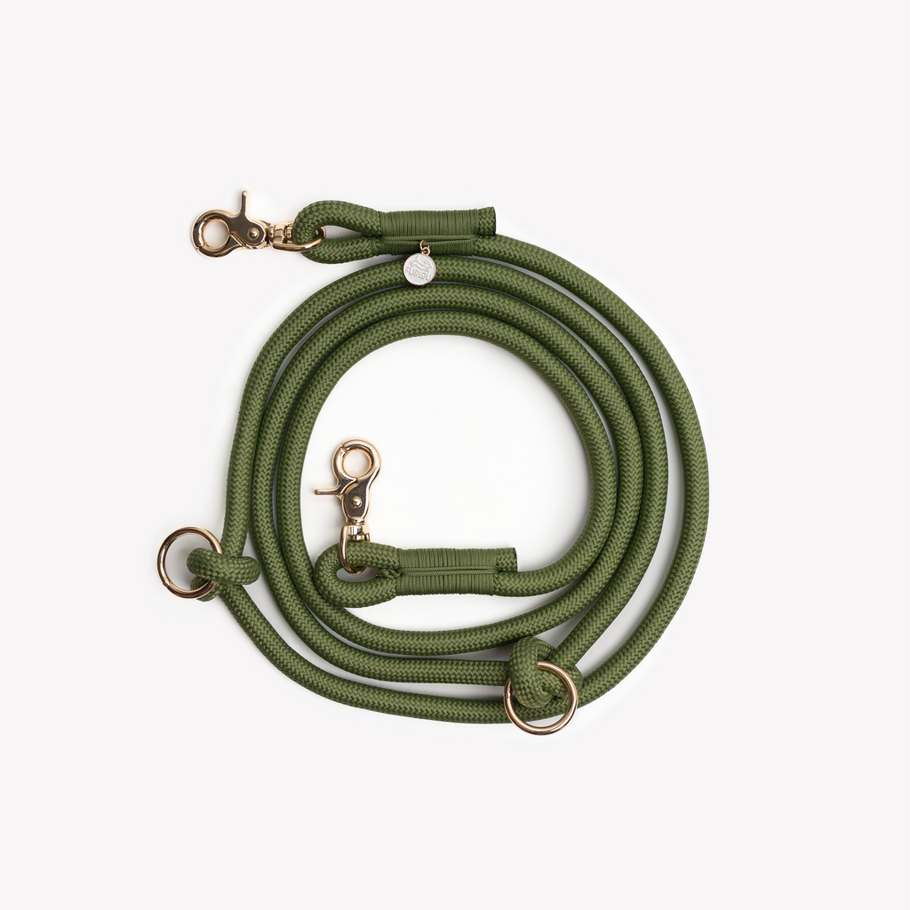 'Green' - Hands Free Braided Leash - Snag N' Style