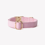 'Pink' - Canvas Dog Collar - Snag N' Style