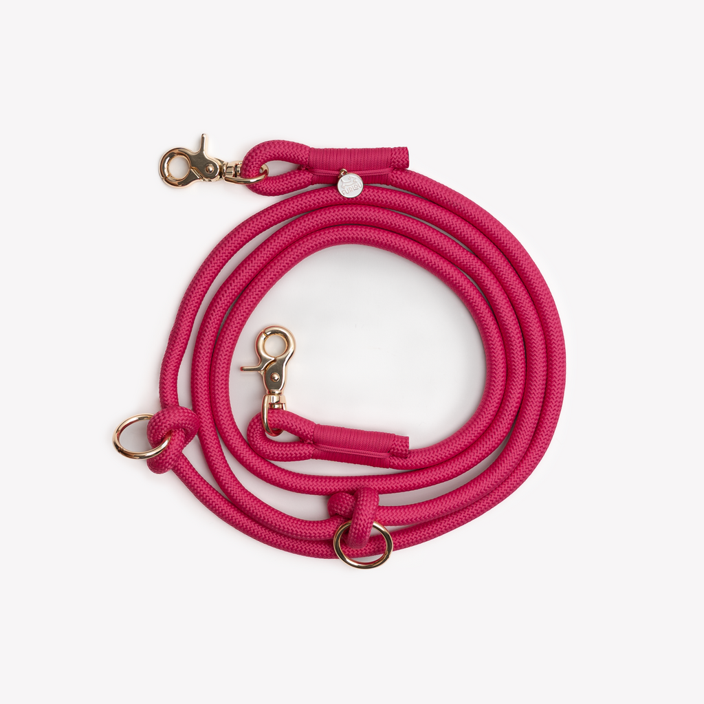 'Magenta' - Hands Free Braided Leash - Snag N' Style