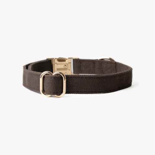 'Brown' - Canvas Dog Collar - Snag N' Style
