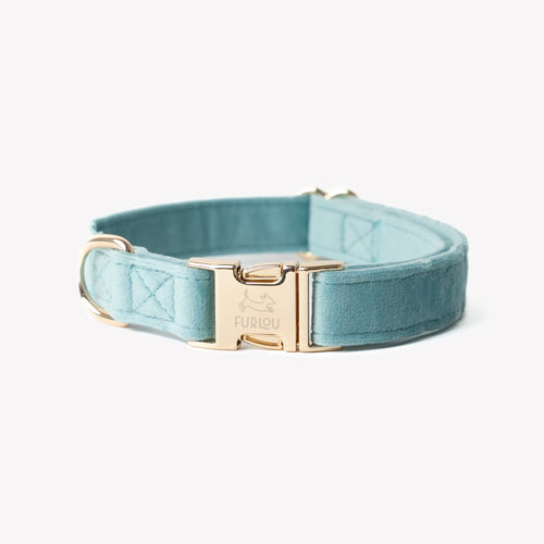 'Blue' - Velvet Dog Collar - Snag N' Style