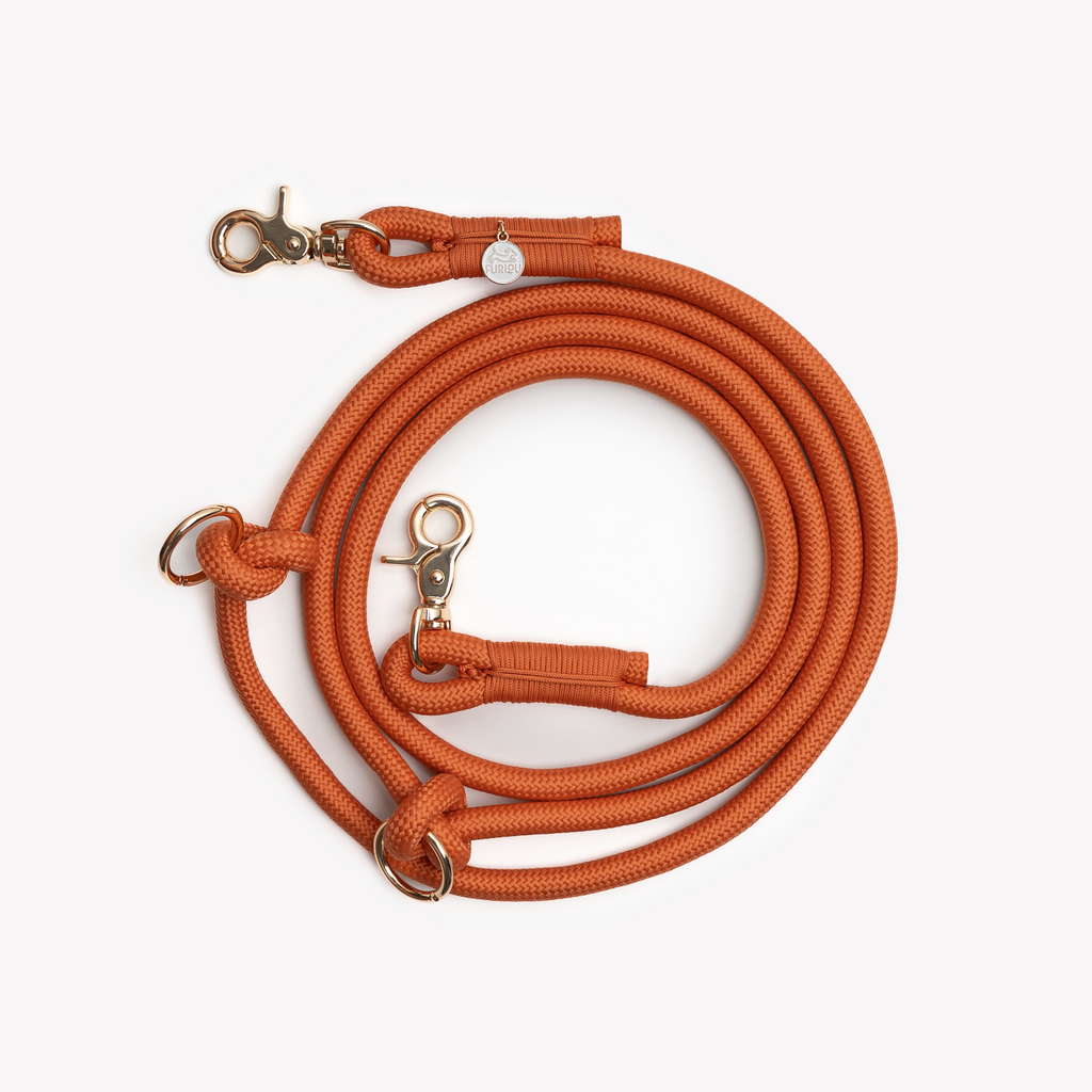 'Terracotta' - Hands Free Braided Leash - Snag N' Style