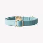 'Blue' - Velvet Dog Collar - Snag N' Style