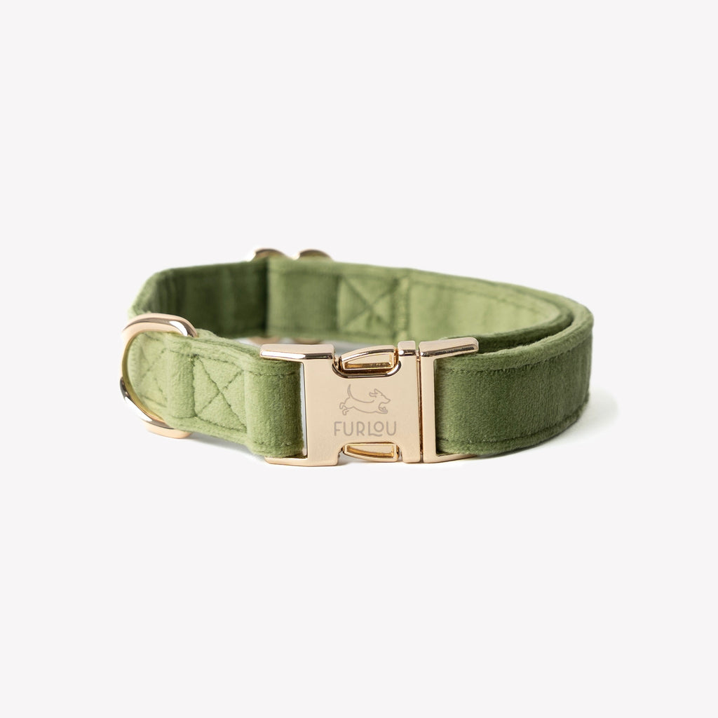 'Green' - Velvet Dog Collar - Snag N' Style
