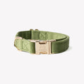 'Green' - Velvet Dog Collar - Snag N' Style