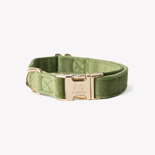 'Green' - Velvet Dog Collar - Snag N' Style