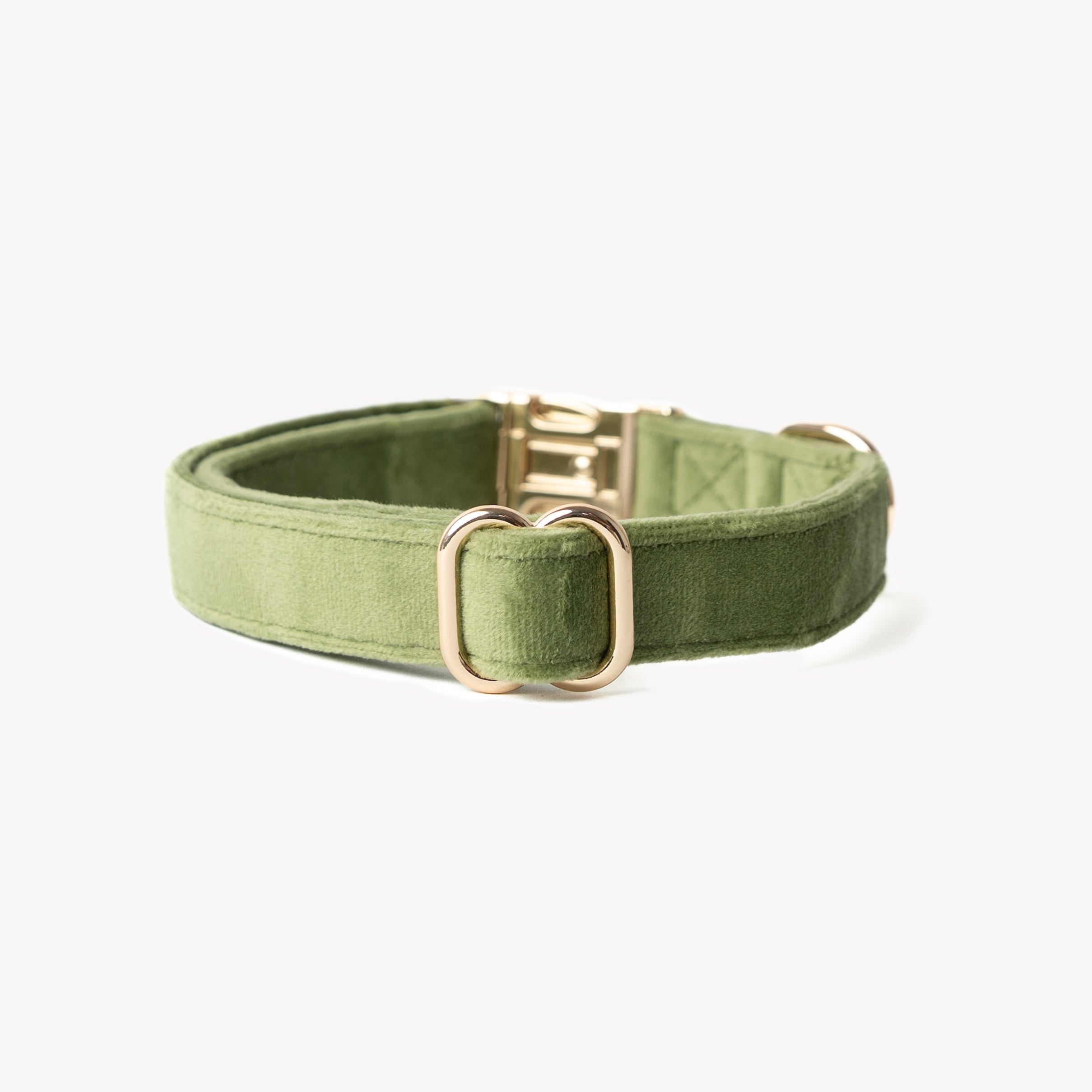'Green' - Velvet Dog Collar - Snag N' Style