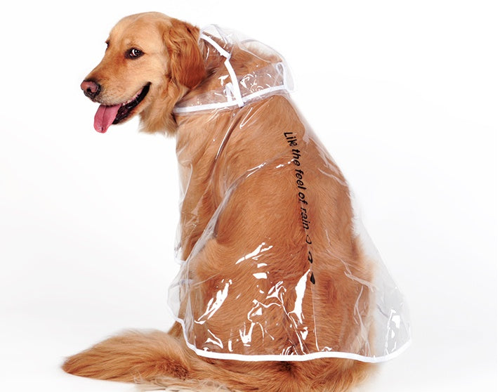 Waterproof Raincoat for Medium- sized Dogs - Snag N' Style