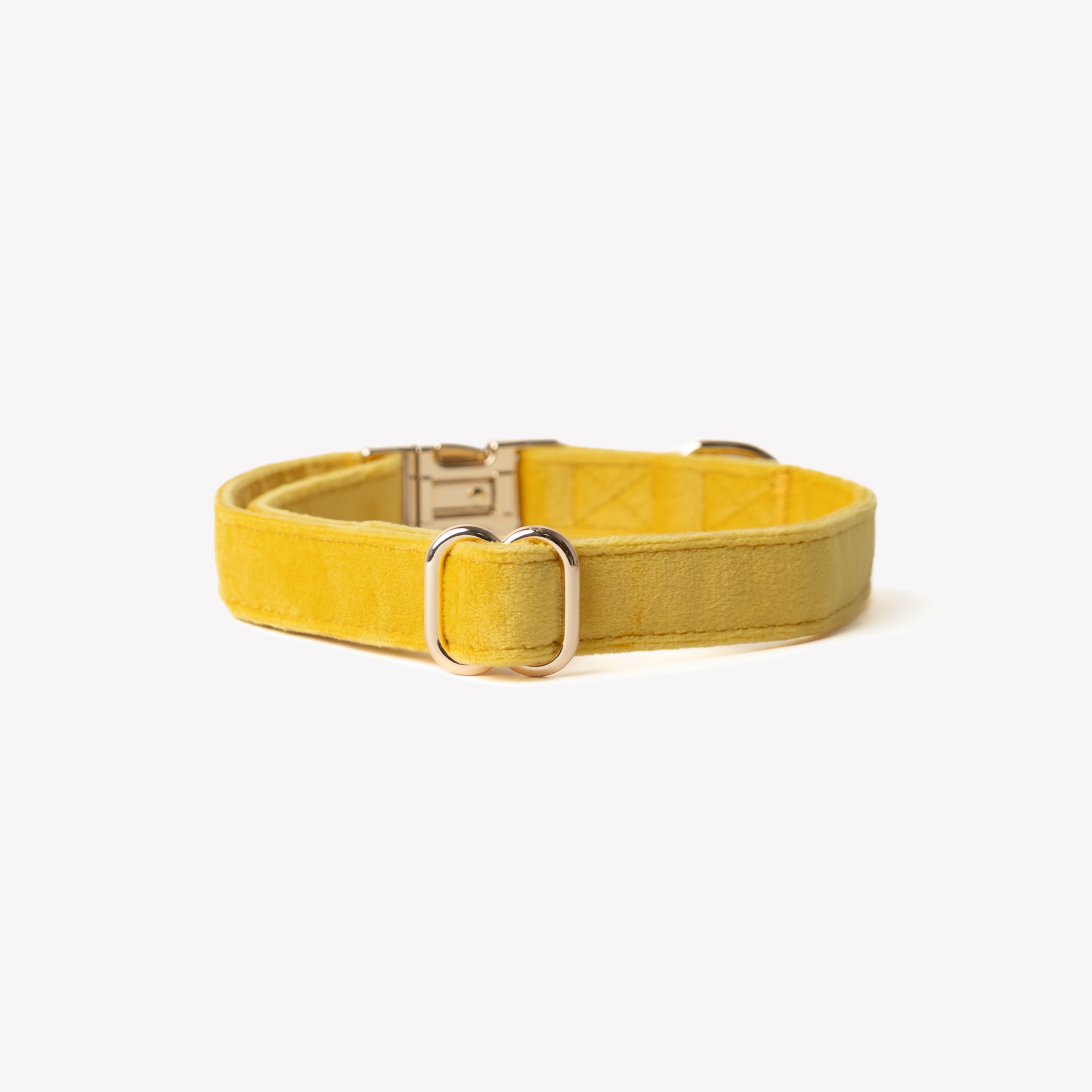 'Yellow' - Velvet Dog Collar - Snag N' Style
