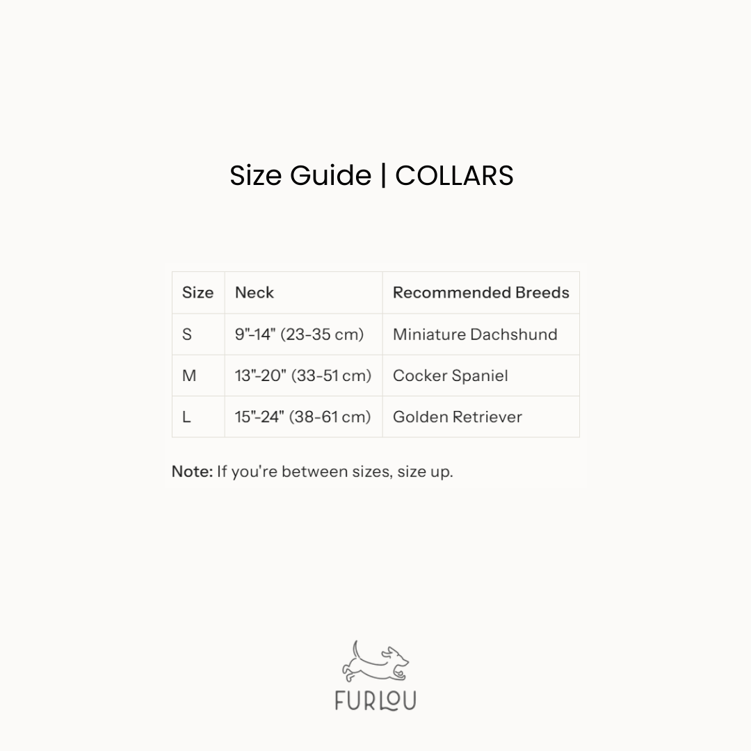 'Yellow' - Velvet Dog Collar - Snag N' Style