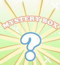 Mystery Box - Bags (Copy) - Snag N' Style