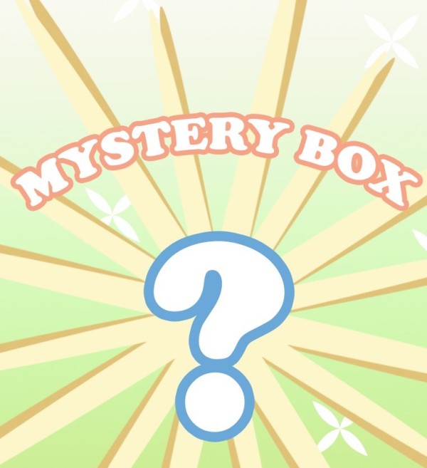 Mystery Box - Bags (Copy) - Snag N' Style