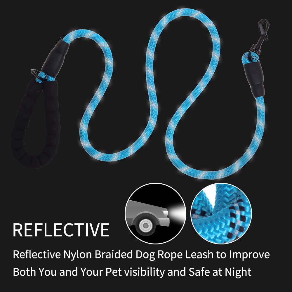 5 FT Thick Highly Reflective Dog Leash- Blue - Snag N' Style