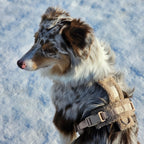 'Sand' - Sherpa Dog Harness - Snag N' Style