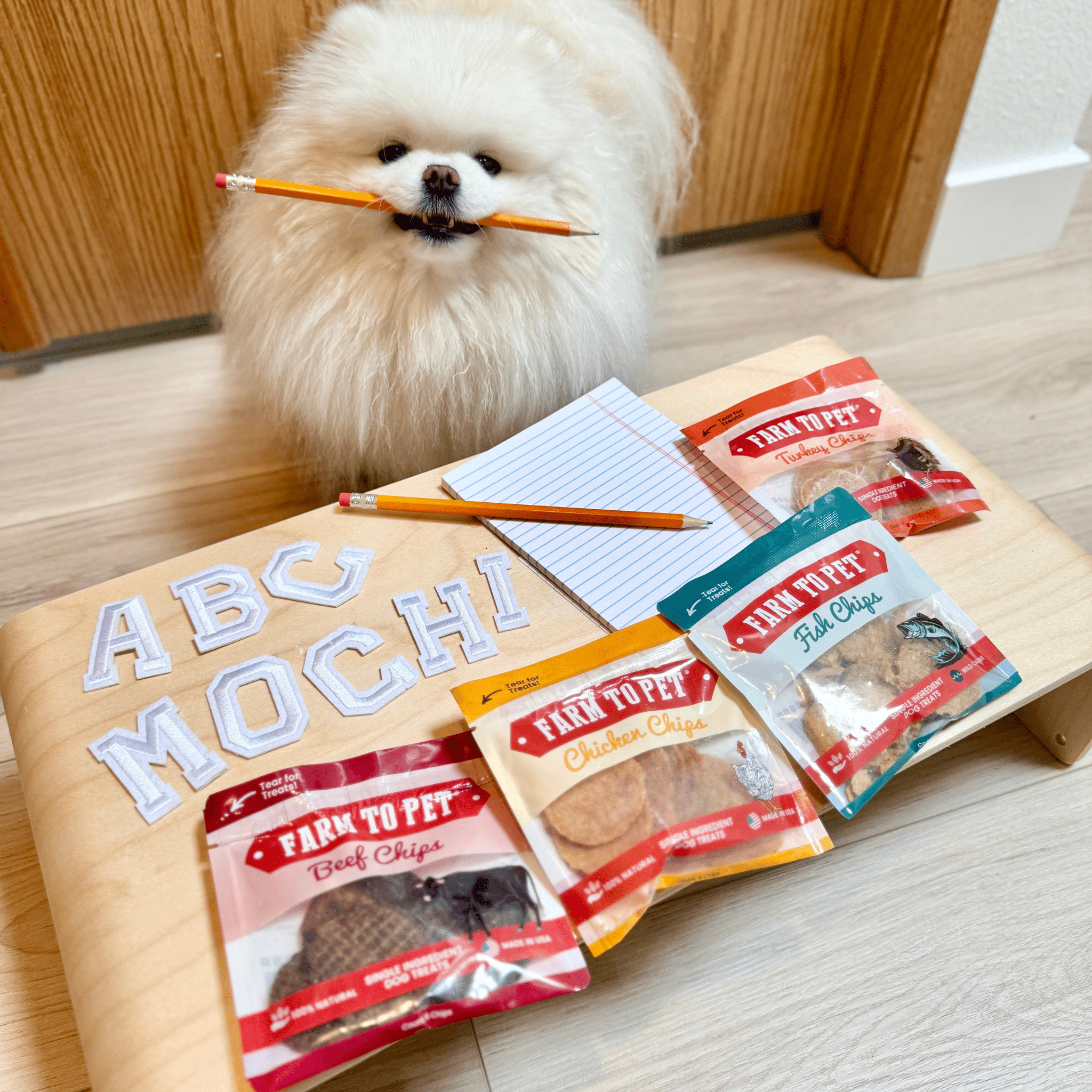 Snack Pack Dog Treat Sampler - Snag N' Style