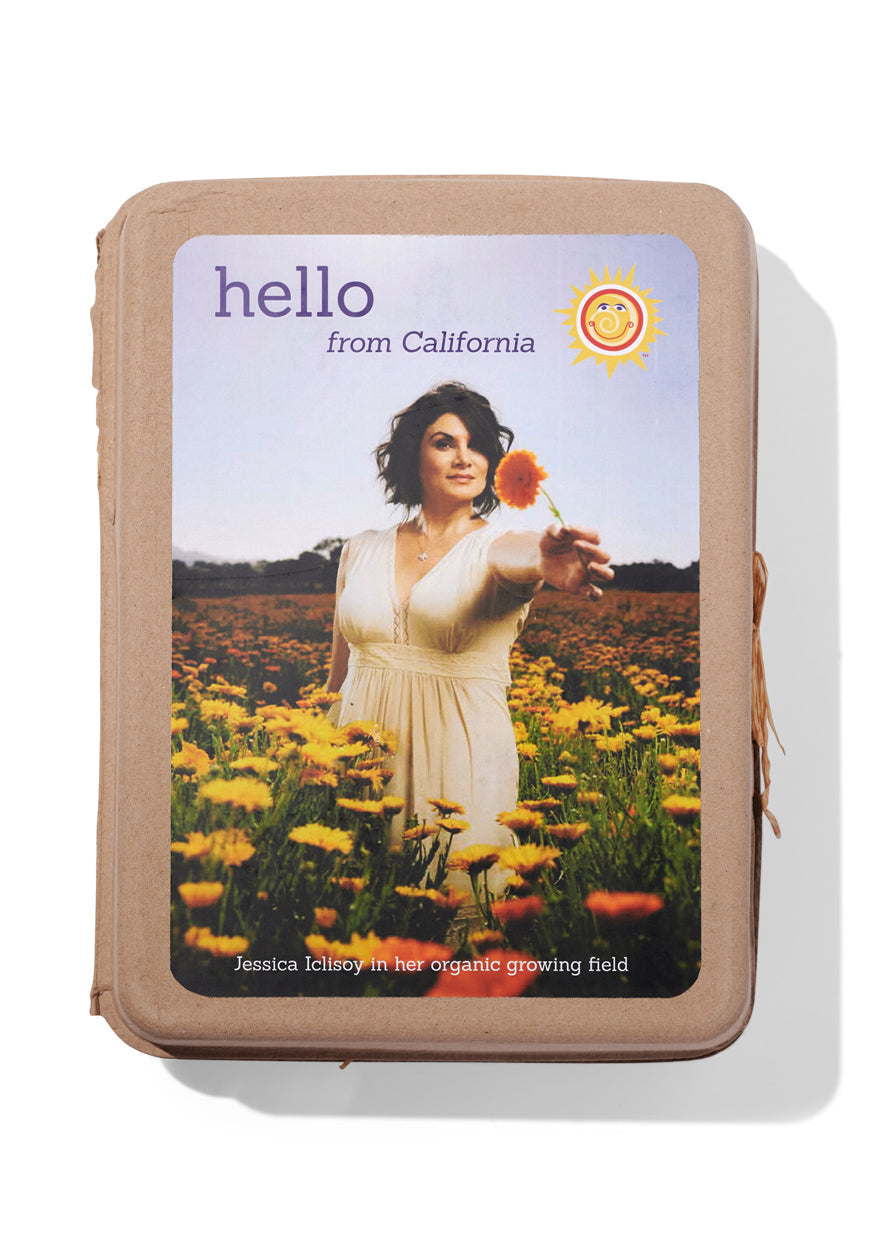 Jessica's Picks Kit - Snag N' Style