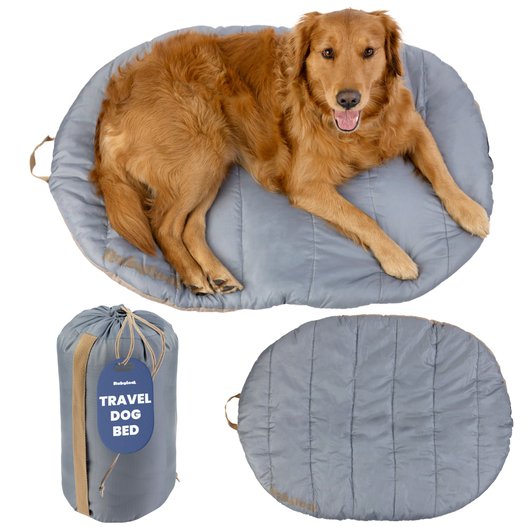 Travel Dog Bed - Foldable & Packable for Travel, Road Trip, Camping - Snag N' Style