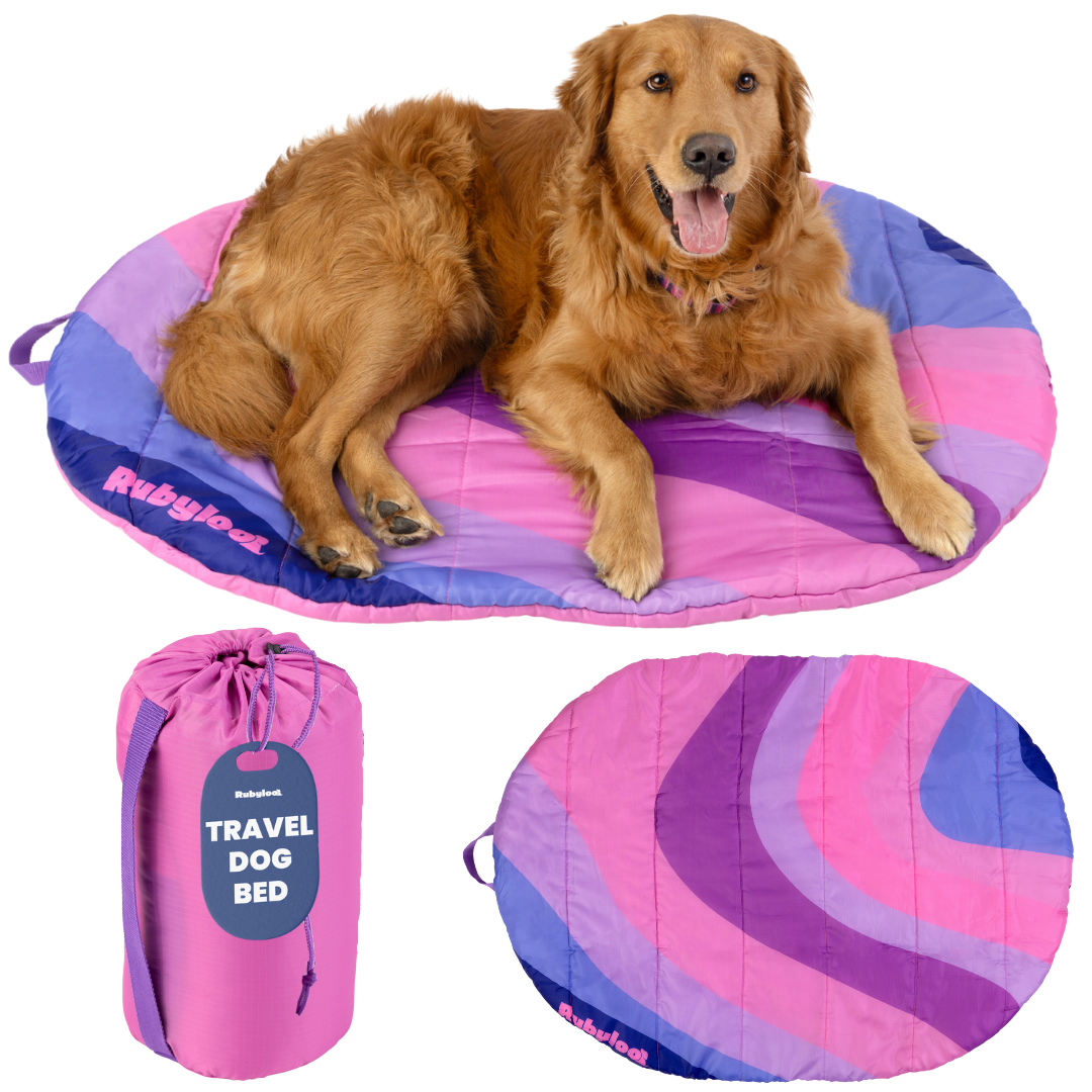 Travel Dog Bed - Foldable & Packable for Travel, Road Trip, Camping - Snag N' Style