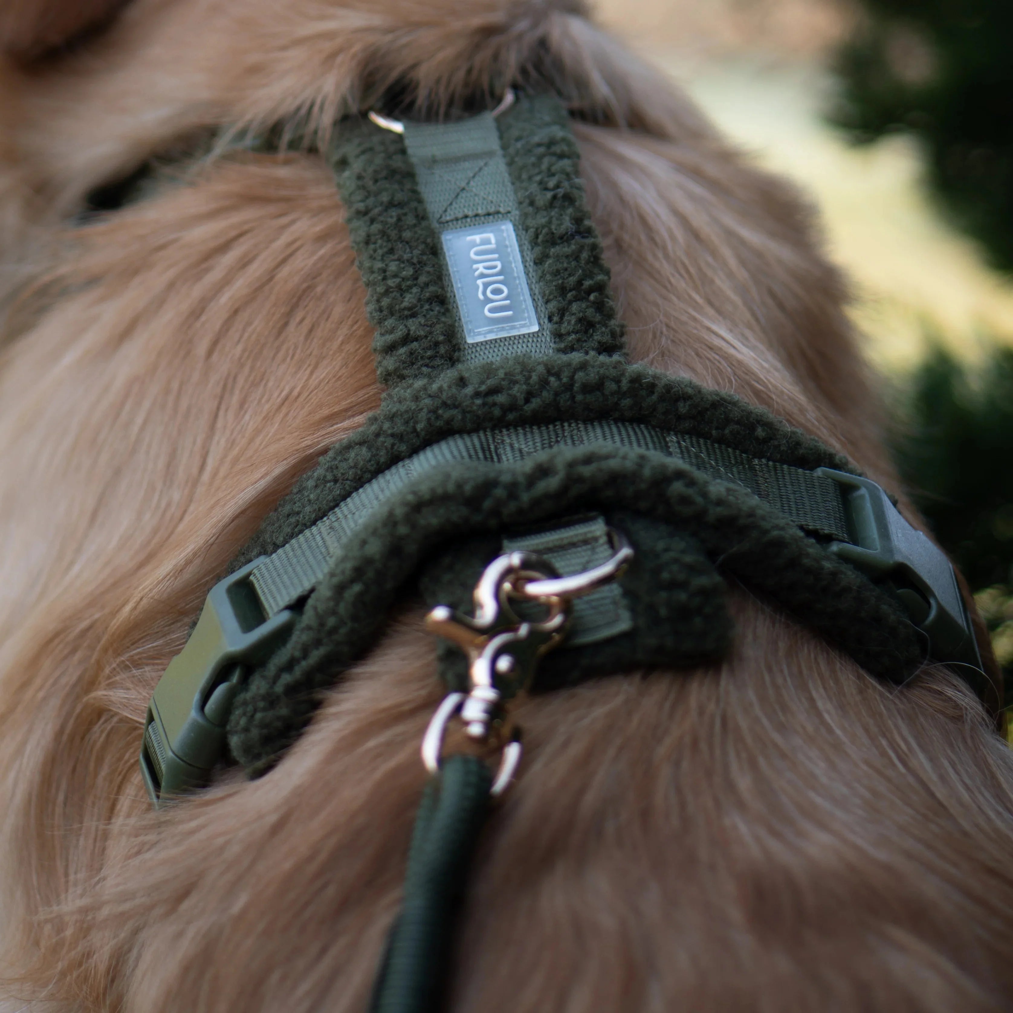 'Moss Green' - Sherpa Dog Harness - Snag N' Style