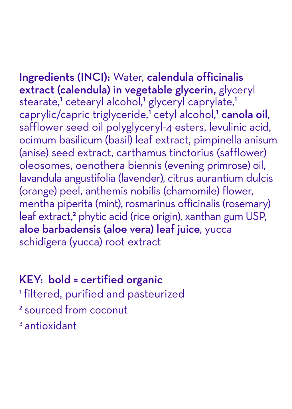 Chamomile & Mint™ Everyday Lotion